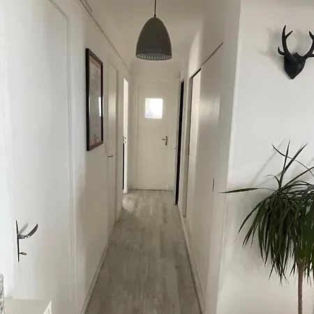 Design Vue Panoramique